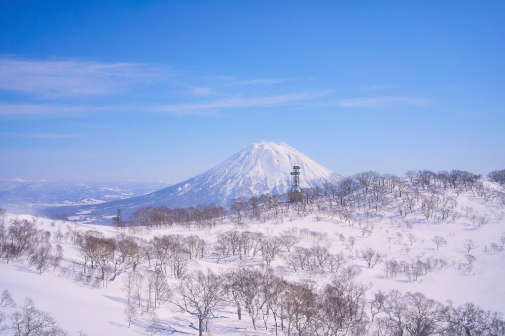 インスタ映え3選